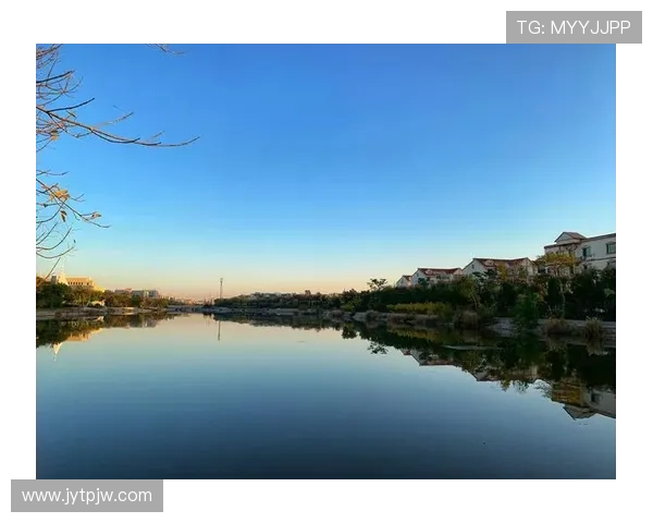 光影流转，情满东营：一座城市的影视华章正在徐徐展开