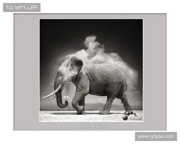 大象的眼泪：一段湿润了整个非洲草原的深情史诗